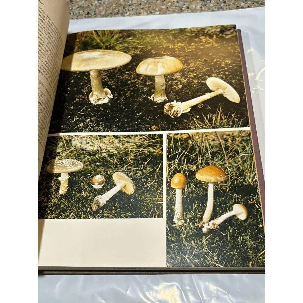 N/A mushrooms other